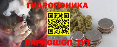 молекула духа Заволжье