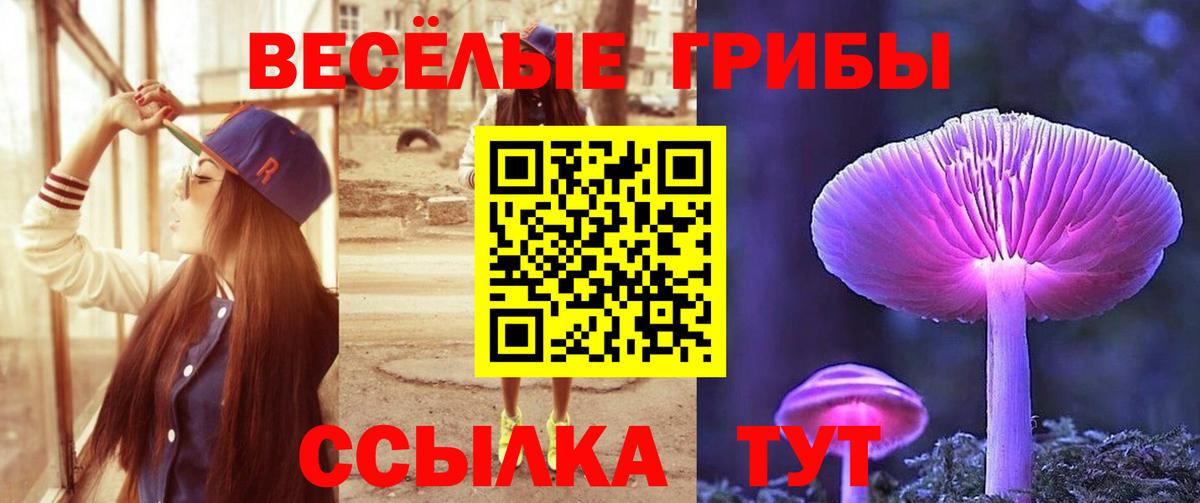 Ленинск-Кузнецкий  Псилоцибиновые грибы Cubensis  Вход с VPN 
